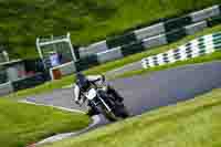 cadwell-no-limits-trackday;cadwell-park;cadwell-park-photographs;cadwell-trackday-photographs;enduro-digital-images;event-digital-images;eventdigitalimages;no-limits-trackdays;peter-wileman-photography;racing-digital-images;trackday-digital-images;trackday-photos